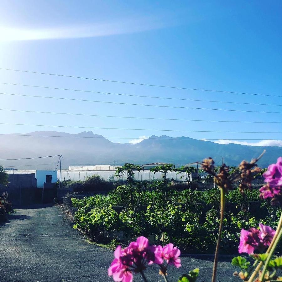 Los Conejos Santa Cruz de Tenerife Dış mekan fotoğraf
