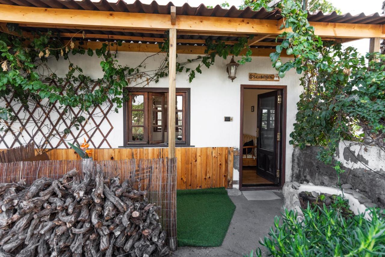 Los Conejos Santa Cruz de Tenerife Dış mekan fotoğraf